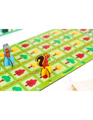 Forest First de Kiwizou