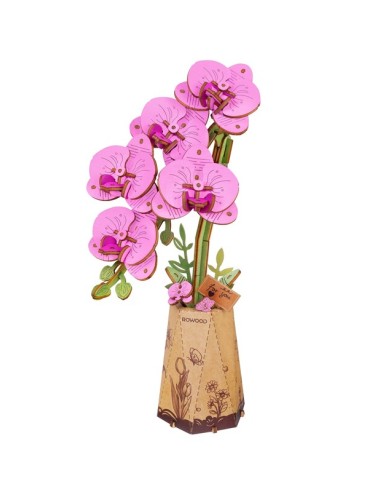 Orquidea Polilla Púrpura.