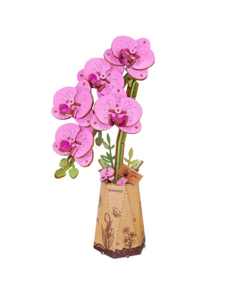 Orquidea Polilla Púrpura.