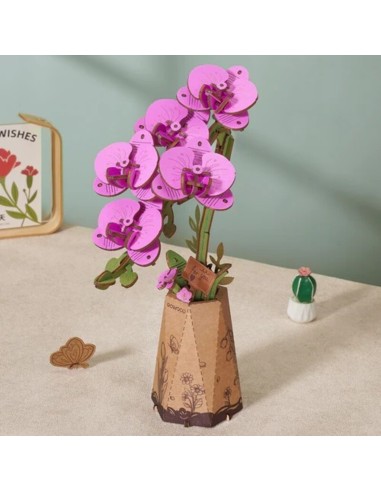 Orquidea Polilla Púrpura.