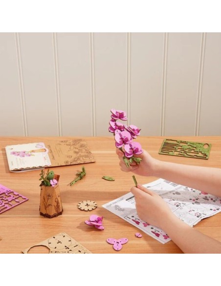 Orquidea Polilla Púrpura.