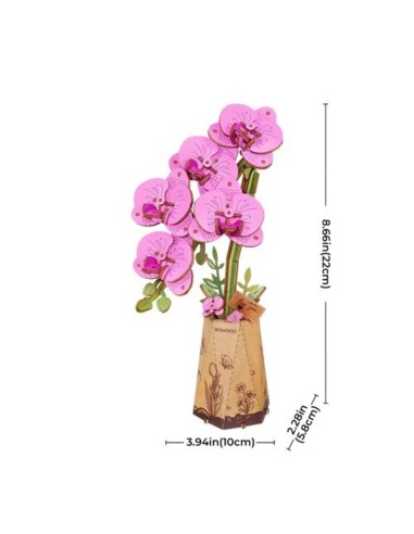 Orquidea Polilla Púrpura.