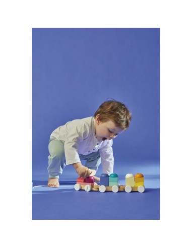 Zigolos - Trenecito de Oveja de Janod.