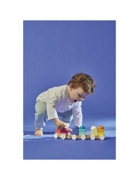 Zigolos - Trenecito de Oveja de Janod.