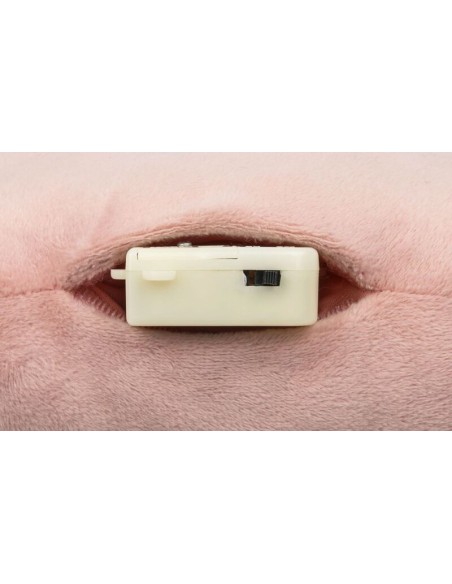 Radio Sonido Jeanne de Lilliputiens.