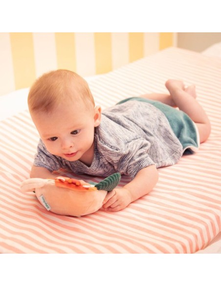 Jack Espejo de Lilliputiens.