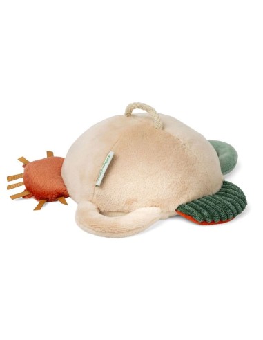 Jack Espejo de Lilliputiens.