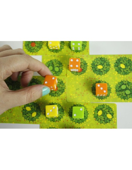 Grove es un divertido y bonito juego de cartas para un jugador, distribuido por Cantarero Coca.