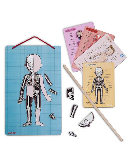 Bodymanaget en 12 idiomas es un juego educativo para aprender el cuerpo humano. Fabricado por Janod.