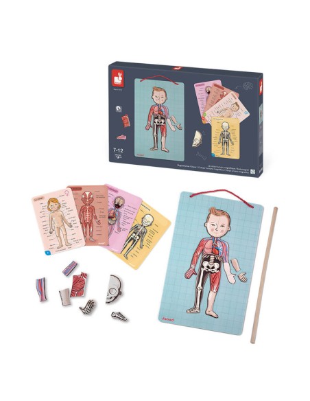 Bodymanaget en 12 idiomas es un juego educativo para aprender el cuerpo humano. Fabricado por Janod.