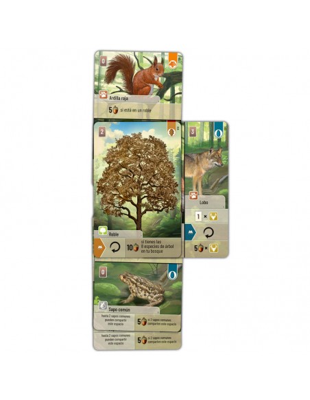 Forest Shuffle es un juego con temática naturaleza editado por Look out Games.