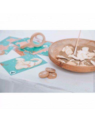 Juego de excavación dino de Janod.