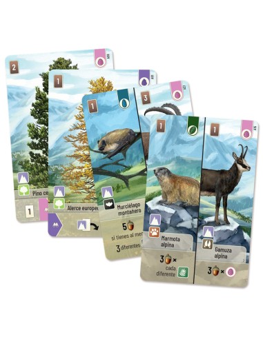 FOREST SHUFFLE CUMBRES ALPINAS