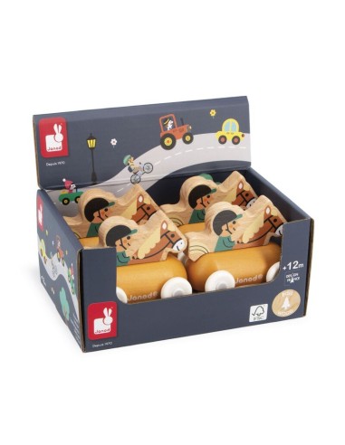 JINETE VALLE NEVADO - CROSS ROADS DE JANOD.