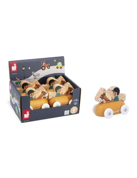 JINETE VALLE NEVADO - CROSS ROADS DE JANOD.