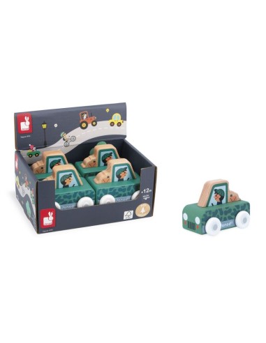 COCHE TODO TERRENO VALLE NEVADO - CROSS ROADS DE JANOD.