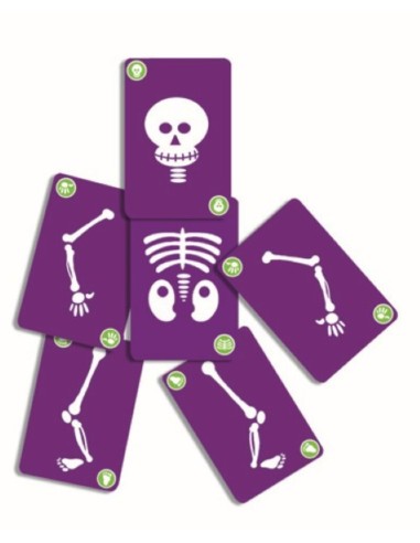 Cartas Bogoss de Djeco.