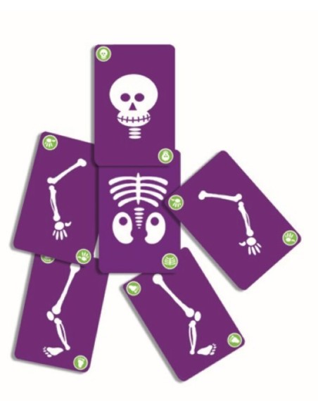 Cartas Bogoss de Djeco.