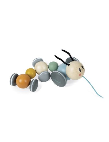 ORUGA PARA PASEAR - SWC de Janod.