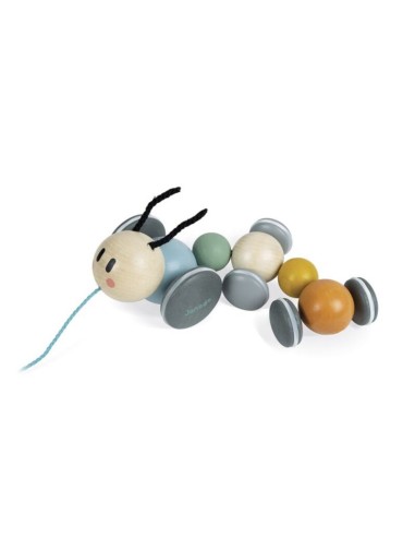 ORUGA PARA PASEAR - SWC de Janod.