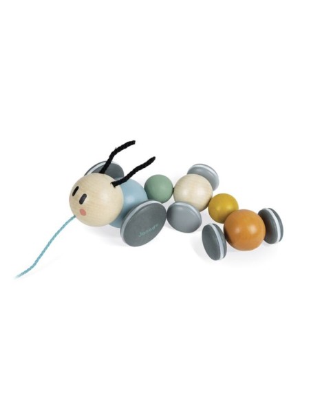 ORUGA PARA PASEAR - SWC de Janod.