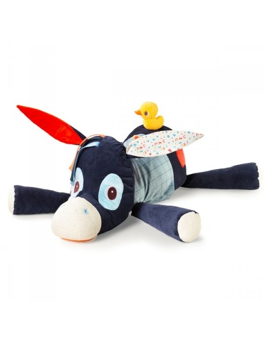 Ignace Tesorero Lilliputiens.