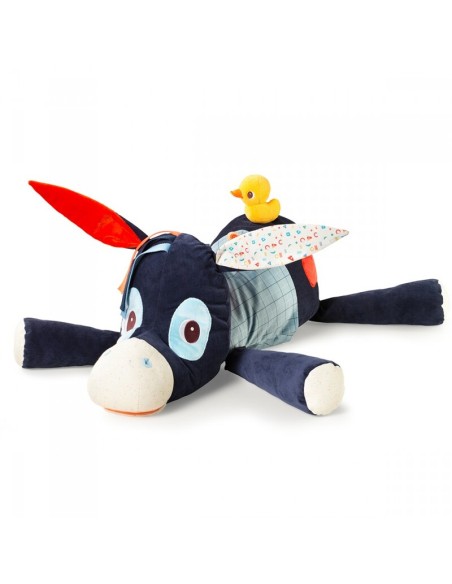 Ignace Tesorero Lilliputiens.