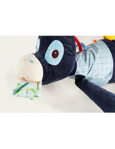 Ignace Tesorero Lilliputiens.