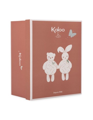 BURBUJA DE AMOR OSO VERDE 30 CM